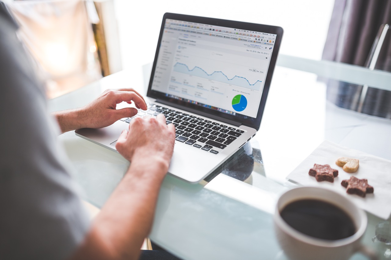 consultant seo ilyes seo